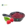 China Manufacturer Supply Raspberry Fruit Powder Raspberry Extract Powder Freeze Dried Raspberry Powder with Good Price wholesale