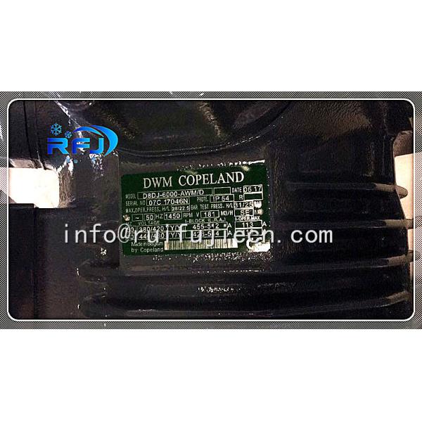 China R22 Copeland Compressor D8sj-6000 Compressor de réfrigération fournisseurs supplier