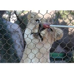 China Knotted X Tend Zoo Wire Mesh , High Tensile Stainless Steel Cable Net supplier