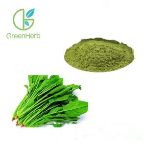 China Green Pure Natural Fruit Spinach Extract Powder With HPLC Test Method on sale 