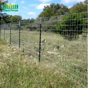 Hot Dip Galvanized Steel Studded T Post 6ft Metal For Animal Fence