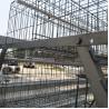 Poultry Farming 3 Tier Chicken Cage Laying Eggs Q235 Steel Wire Mesh