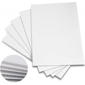 Advertising Polypropylene Coroplast Sheet Recycled Rigid Fluted Board