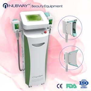 China O emagrecimento o mais rápido!! Máquina gorda da redução do cryolipolysis magro não-cirúrgico inferior do corpo do preço supplier