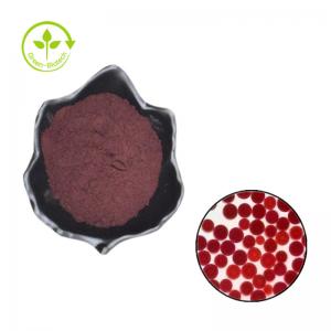 Astaxanthin 100% Pure Astaxanthin Extract Powder Skin Whitening Best Quality Astaxanthin Powder Nutrition Superfood