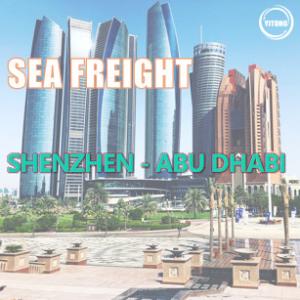 China 20 Days International Sea Cargo Logistics From Shenzhen China To Abu Dhabi UAE supplier