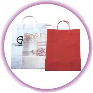 China Custom White / Red Small Gift Hard Plastic Handle Bag with Colorful Printing wholesale