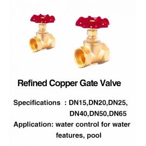 China SGS Swimming Pool Fountain Accessories 1 Inch Brass Gate Valve supplier