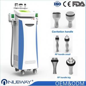 Vacuum 10.4 Inch Cryolipolysis Slimming Machine For Beautician And Skin Doctors