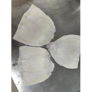 Authentic Chinese Fresh Frozen Squid for Seafood Lovers