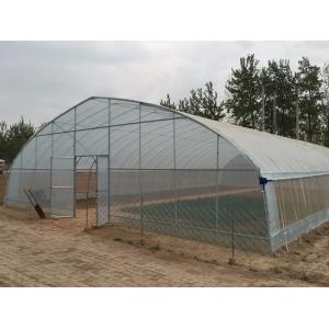 China Easy Install Single Tunnel Greenhouse Cover Material 0.12-0.2mm PEP Film supplier