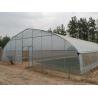 China Galvanized Frame PE Film Greenhouse , Hoop Tunnel Greenhouse CE Approved wholesale