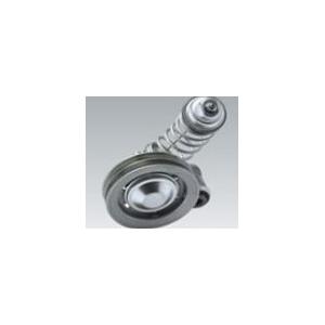 China Belt Tensioner Bearing 3093090 supplier