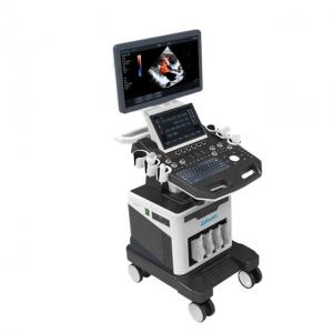 China 4D Medical Ultrasound Machine Elastography Trolley Ultrasonic Scanning Machine supplier