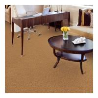 China Wall To Wall Plain Carpet Tufted Broadloom Carpet Solution Dye For Living Room on sale