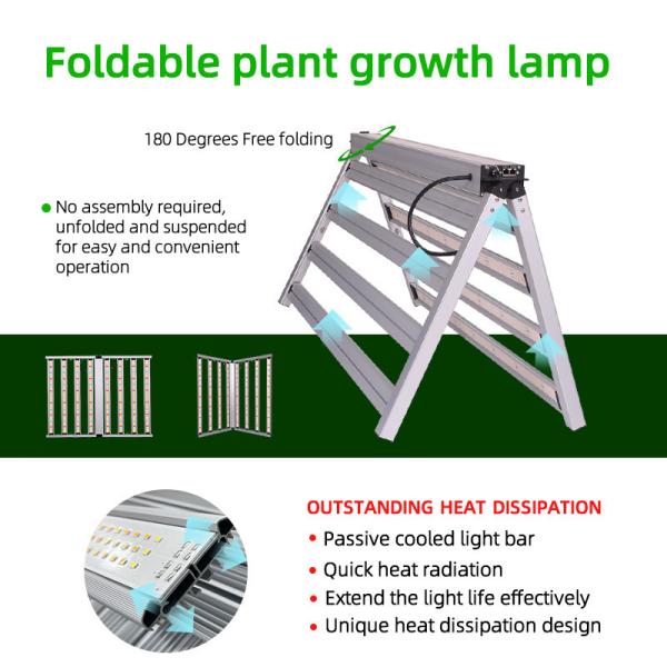 China LM281B 800W Full Spectrum Led Plant Grow Lights Customized 240W 320W 480W 640W 720W1000W LM301H EVO for Hydroponic wholesale