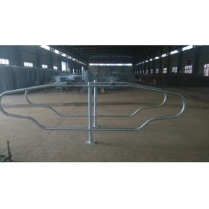 China New Style Cattle Yard Panels Dairy Cow Stalls Excellent Anti Corrosion supplier