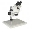 Interpupillary Distance Trinocular Compound Microscope Binocular Inclined At 45°