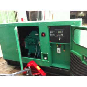 230V Cummins Diesel Generator With Rotation Magnet Single Bearing