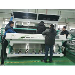 448 Channels Vegetable Olive Fruit Sorting Machine Unpeeled Garlic Optica Color Sorter