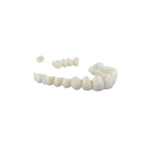 China Dental Lab Zirconia Tooth Crown No Irritation Zirconia Porcelain Teeth