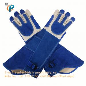 China Blue Color Leather Animal Control Gloves , Animal Handling Gloves For Dog / Cat supplier