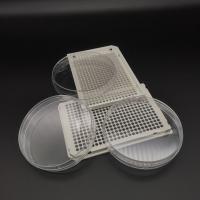 Disposable TCT 24 Well Cell Culture Plate For Laboratory Chemistry