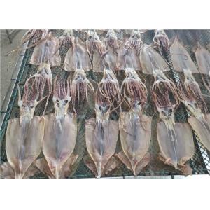 100% Natural Dried Illex Squid Whole Round 85g Fresh Frozen Squid