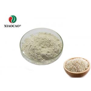 CAS 94350-05-7 Organic Rice Protein Powder / Vanilla Rice Protein Powder 80%