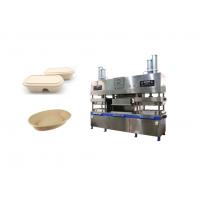China Pulp Molding Fiber Compostable Disposable Food Tray Machine on sale