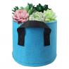 China Succulent plants bags, Febric planting pots, 1gallon, 2gallon felt flower planters wholesale