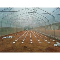 China 9x30 Tropical Green House Sawtooth Top Ventilation High Tunnel Greenhouse on sale