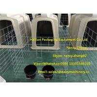 China Small Dairy Farm Calf Feeding Equipment With Hot Dip Galvanized Steel Wire Fence on sale