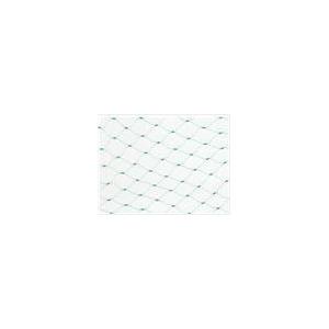 Agriculture Anti Bird Netting , 10x10mm Mesh Extruded Square Mesh Bird Net