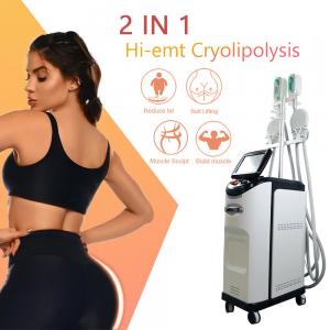 Cryolipolyse EMS Machine 360 Cryo Fat Freezing Cellulite Removal