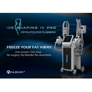 China O cryo o mais novo da patente 4 dirige a máquina de congelação gorda/a máquina gelo do lipo para o emagrecimento supplier