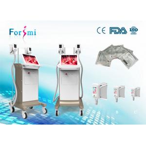 Cryo fat removal best cooling system Cryolipolysis Slimming Machine FMC-I Fat Freezing Machine