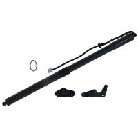 China TS16949 Power Tailgate Pull Down Motor Strut For Toyota Highlander Trunk Hatch Power Lift 6891009120 on sale