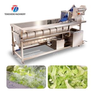 China 清掃加工 生産 機械 渦巻き野菜洗濯機 紅豆 ムン豆 緑豆 豆 缶詰 ポテト ポテト 丸茎 胡桃 根根根植物 wholesale