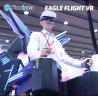 China Excited Standing Up VR Flight Simulator Virtual Reality Simulation Rides wholesale
