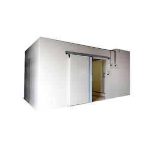 China 8 Kw Cooling Capacity PU Panel Cold Room for Strawberry Jam and Blueberry Jam 3*3*3m wholesale
