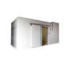 China 8 Kw Cooling Capacity PU Panel Cold Room for Strawberry Jam and Blueberry Jam 3*3*3m wholesale