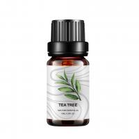 China Pure Bulk Tea Tree Essential Oil 10ml Diffuser Aromatherapy Essential Oil COA on sale