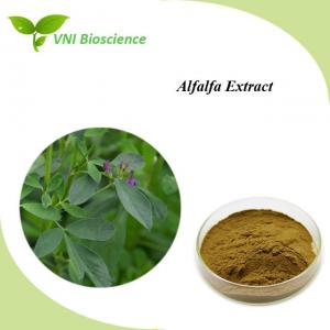 Green Alfalfa Extract Antitumor Herb Extract Powder Halal Certified