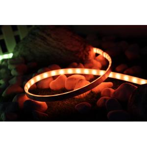 RGB Dimming Waterproof LED Rope Lights Google Home Led Strip Extendable 10m