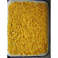 China 100% Fresh 2840g A9 A10 Canned Sweet Corn Kernels on sale