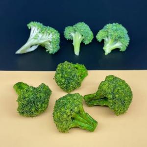Crunchy Savory Flavor Vacuum Fried Broccoli Nutrient Rich Snack Elevatin