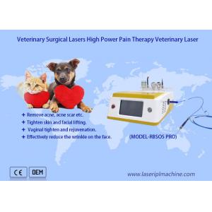 Pets Pain Recovery Surgical 980nm Diode Laser Veterinary Therapy Laser Device