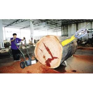 China Molino de madera portátil de la motosierra del slasher, corte del registro del árbol en piezas más cortas supplier