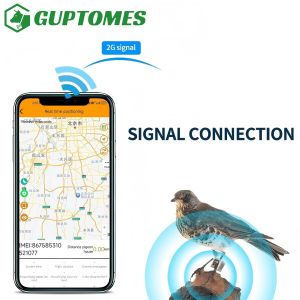 China Type C Dual Charging Small Bird GPS Tracking Device For Real Time Positioning wholesale